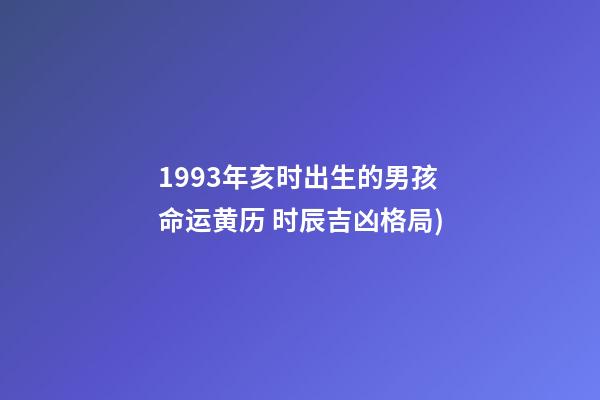 1993年亥时出生的男孩命运(2018年01月03日(农历十一月十七日)黄历 时辰吉凶格局)-第1张-观点-玄机派